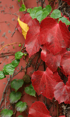 g3/99/425599/3/120790496.gdgnSx2a.jpg