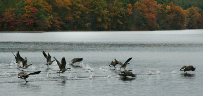 g3/99/425599/3/120828396.AfAKS5uf.jpg