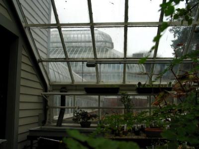 View of Greenhouse