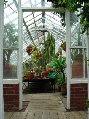 In the Greenhouse