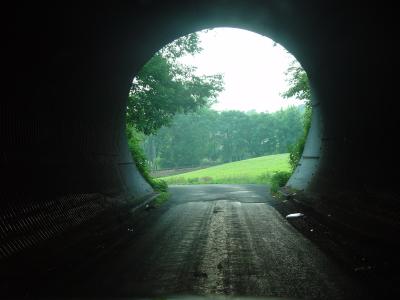 Tunnel Vision  Summer