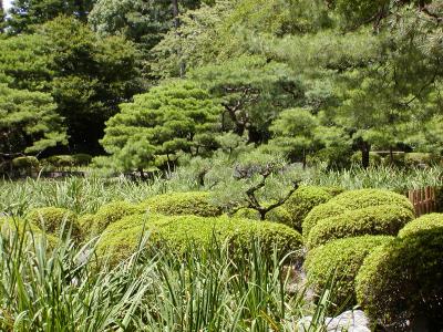 Heian Shrine Gardens