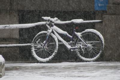 Snowy Commuter bike G4347