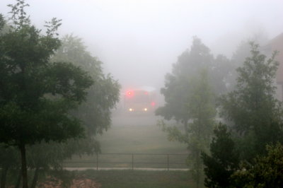 Foggy school bus