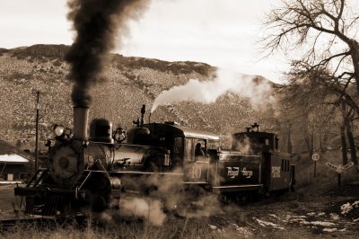 Steam Locomotive Royal Gorge No 40