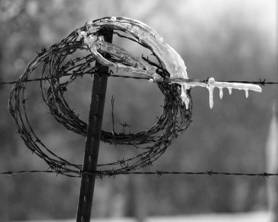Remnants