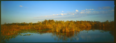 Everglades005.jpg
