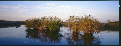 Everglades008.jpg