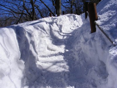 3 feet of snow