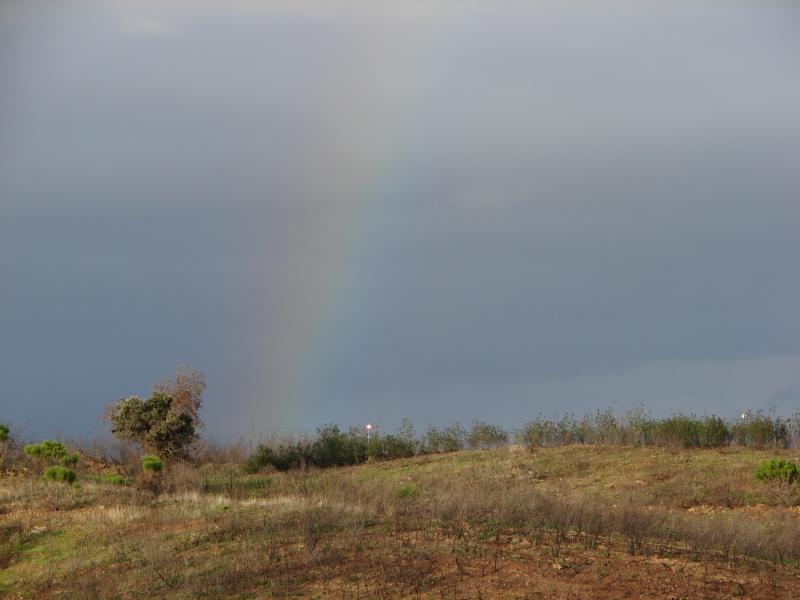 Countryside Rainbow - Azinhal > Castro Marim > Algarve