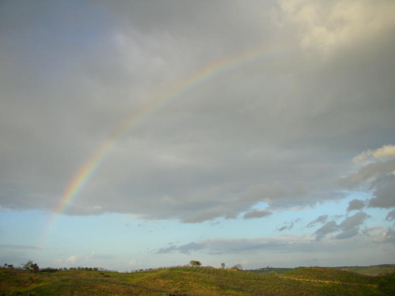 Countryside Rainbow - Azinhal > Castro Marim > Algarve