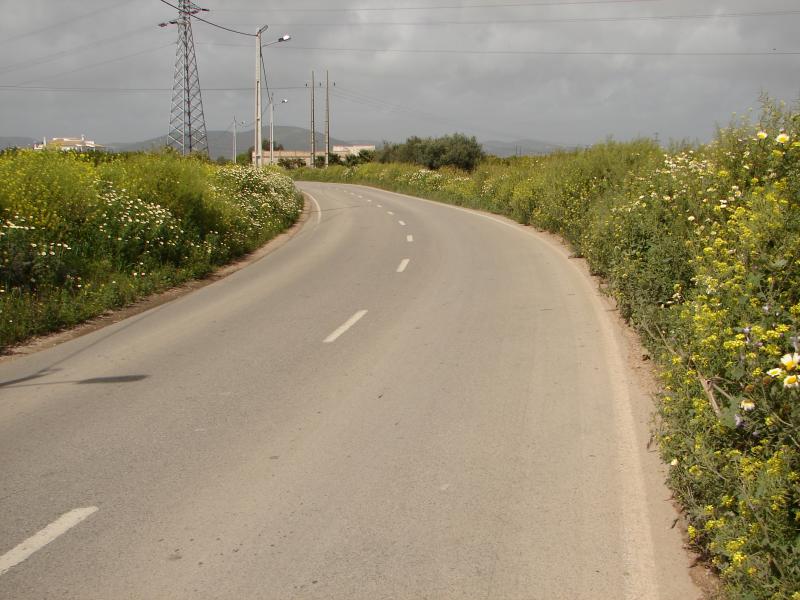 Algarve Road in Spring