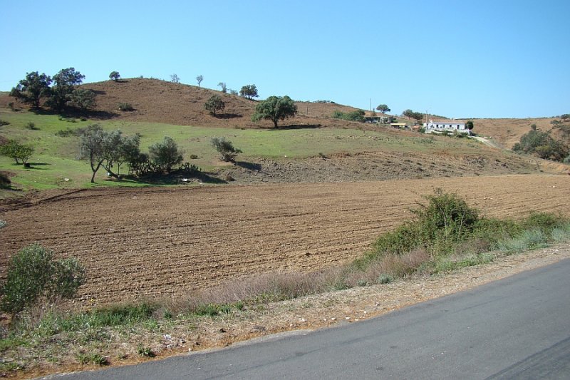 Rural Landscape, Junqueira - Castro Marim, Algarve