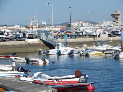 g3/99/524399/3/54356221.DSC01991.jpg