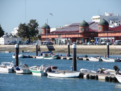 g3/99/524399/3/54357601.DSC01987.jpg
