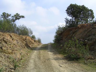 Road in the Algarve