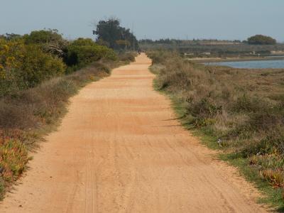Road in the Algarve