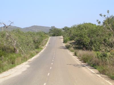 Road in the Algarve
