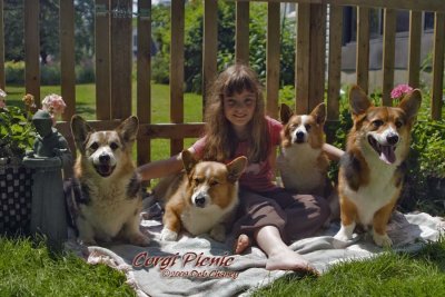 Lexis Corgi picnic