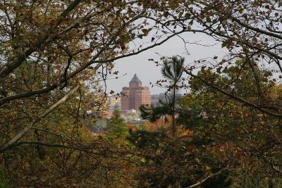 Akron from the Zoo