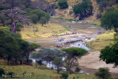 Veduta dal Tarangire Safari lodge