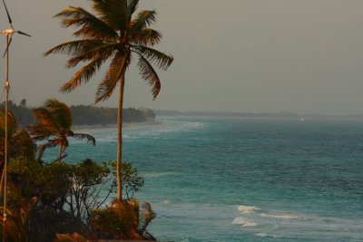 IMG_9820.JPG