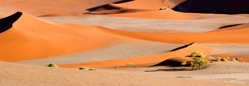 Sossus Vlei Region, Namib Desert