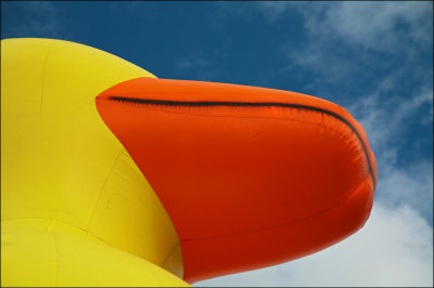 g3/99/567999/3/123918097.zGH2E8YP.jpg
