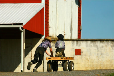 Amish boys with wagon. Near Washingtonville, Pa.