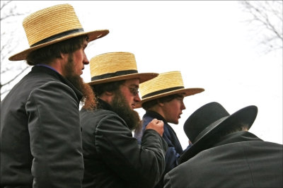 Amish Auction.