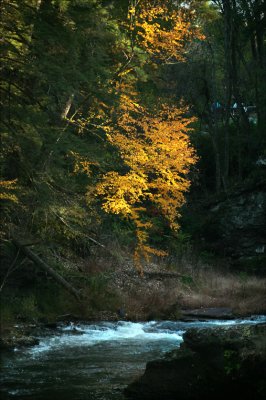 Sunset in the gorge near Sharp Ridge.