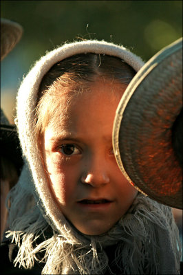 Amish Light.
