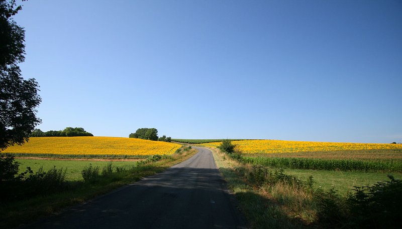 Charente countryside 3