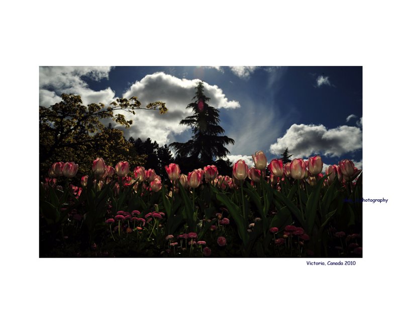 LAC_4491 - 1 copy.jpg