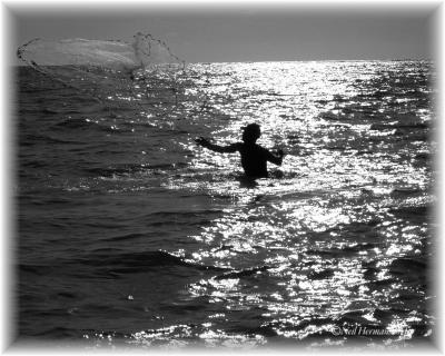 Net Fishing.jpg