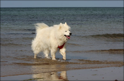 Blanca at the Beach