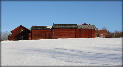 Houses Along a Swedish Road