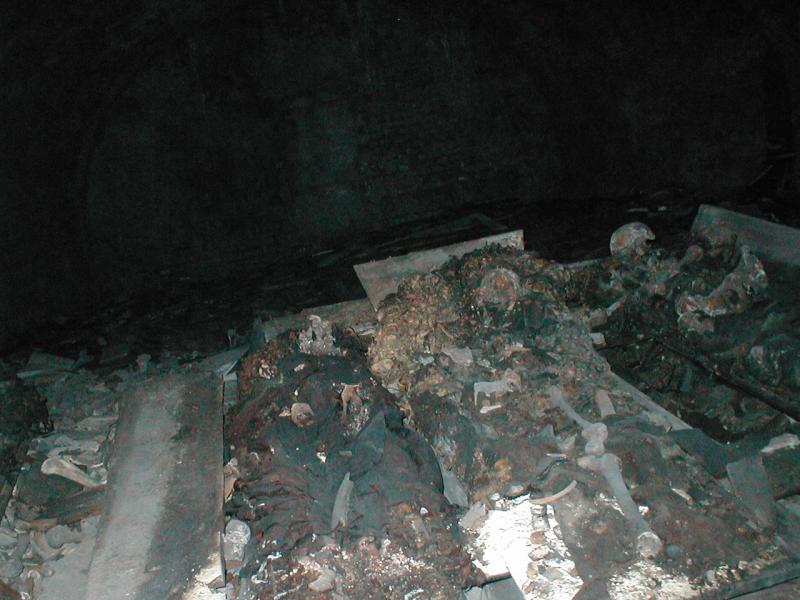 More Bone Rooms