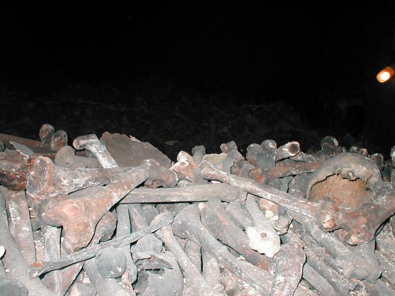 Bone Rooms