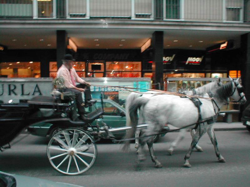 July 2005 339.jpg