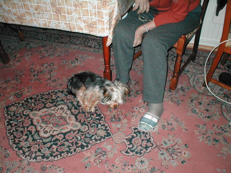 Christmas 2005