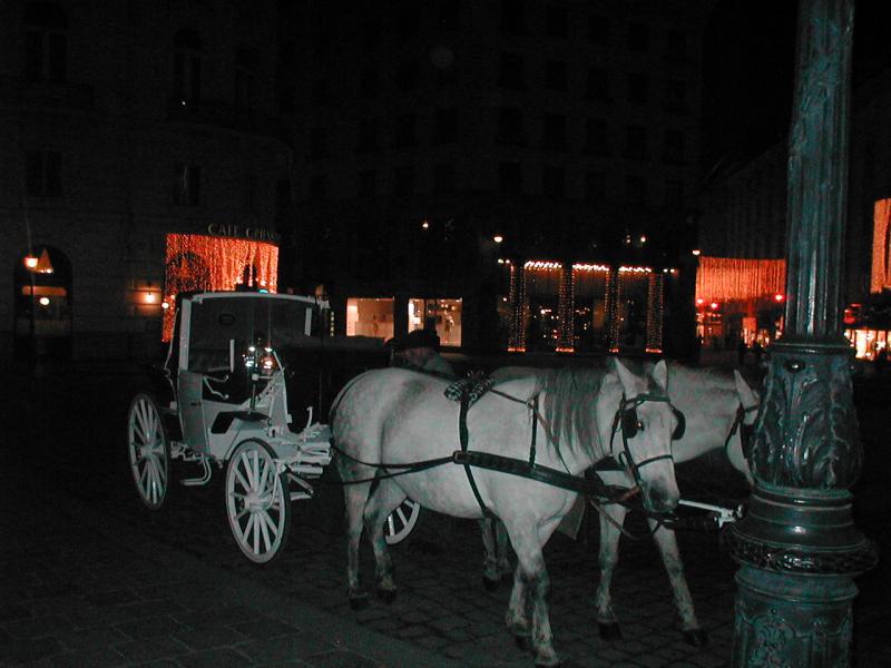 Dec 26 nite trip 060.jpg