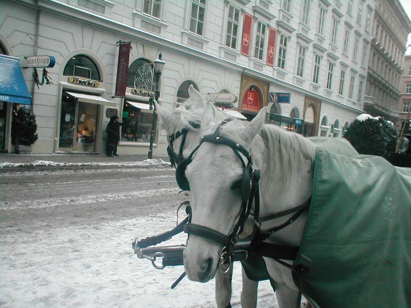 Dec 30 last day Stephens Platz