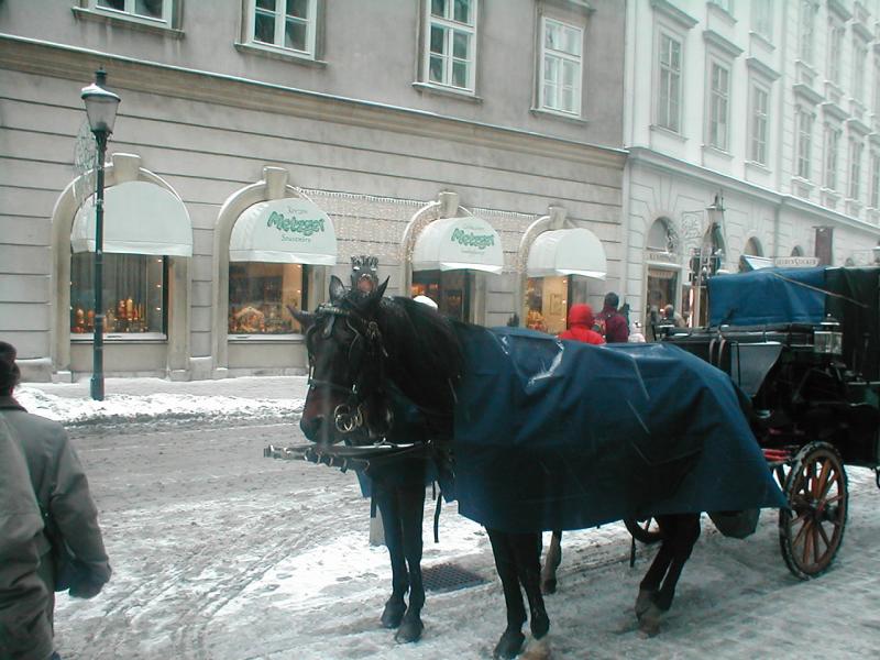 Dec 30 last day Stephens Platz