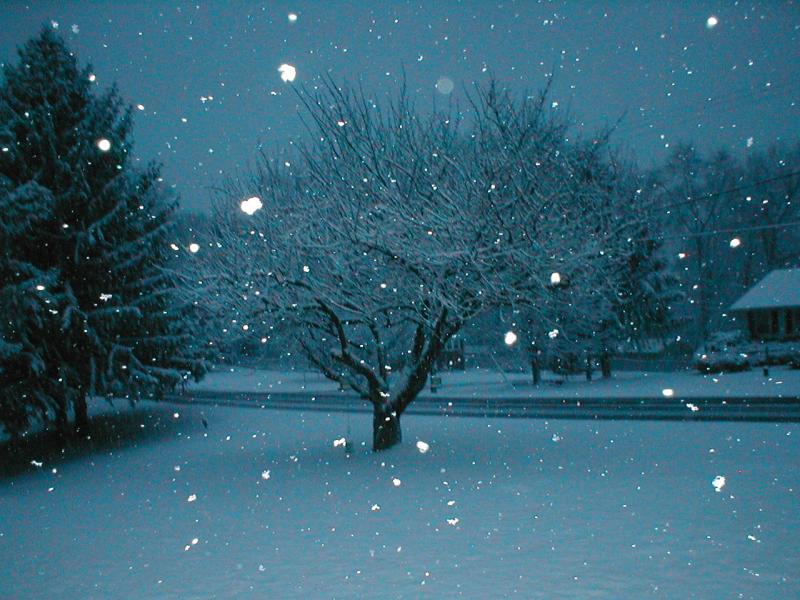 The Blue Hour