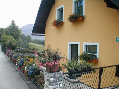 Local House