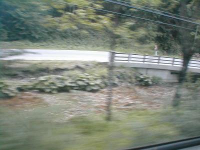 scenic views