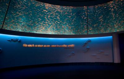 IMG_8345.jpg