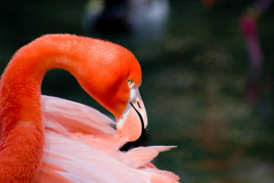 IMG_8651.JPG