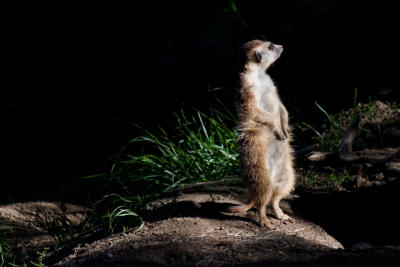 IMG_8832_test.jpg